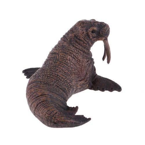 Hobby & Collectibles